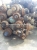 Used truck rear Axles