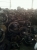 diverse kind of used truck diff